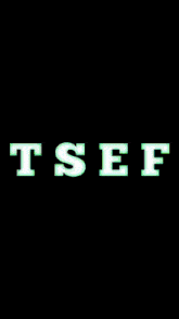 a logo for the silent eagle family with a blue object in the middle