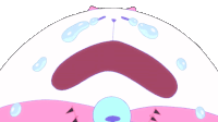 Crying Puppycat Sticker - Crying Puppycat Bee And Puppycat Stickers