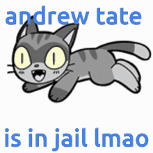 Andrew Tate GIF - Andrew Tate Cat GIFs