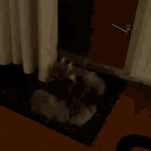 Bunny Fuck Bunny Passed Out Orgasm GIF - Bunny Fuck Bunny Passed Out Orgasm GIFs