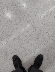 Sk Uncle Shoes GIF