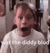 a child is making a funny face and the words wat the diddy blud are on the bottom