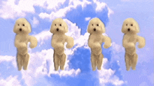 four small dogs are dancing in the sky with clouds