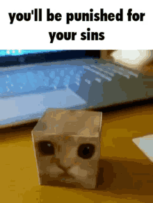 Discord Kitten Cube GIF - Discord Kitten Cube Youll Be Punished For Your Sins GIFs