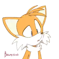 a drawing of a fox with the name bikoaction written below it