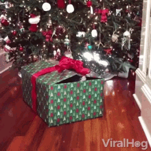Surprise Gift GIF - Surprise Gift Im Here GIFs