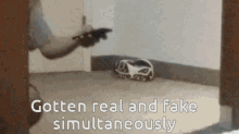 Gotten Real And Fake Simultaneously Its Personal GIF - Gotten Real And Fake Simultaneously Its Personal Society GIFs