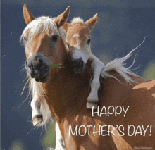 a picture of two horses with happy mother 's day written on the bottom
