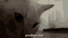 Goodbye Goodbye Chat GIF - Goodbye Goodbye Chat Bye GIFs