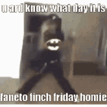 Faneto Finch Friday Dancing GIF - Faneto Finch Friday Dancing Dance GIFs