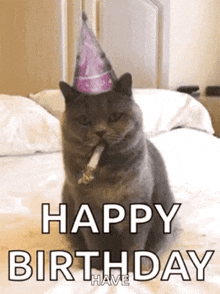 Happy Birthday Cat GIF - Happy Birthday Cat Cute GIFs