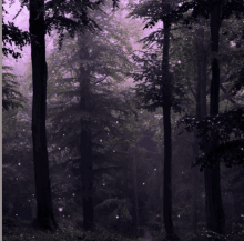 Pink Enchanted GIF - Pink Enchanted Enchanted Forest Discord GIFs