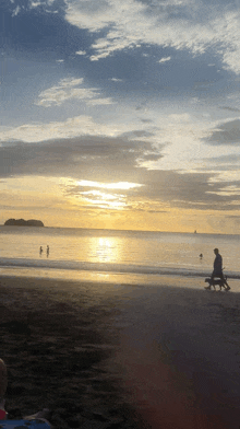 a man is walking two dogs on a beach at sunset