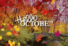 Hellooctober Colorofchangingtree GIF - Hellooctober October Colorofchangingtree GIFs