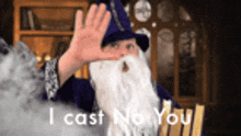 Wizard I Cast No You GIF - Wizard I Cast No You No You GIFs