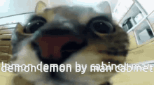 Lemon Demon Cat Cagt GIF - Lemon Demon Cat Cagt Cat GIFs