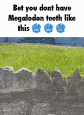 Megalodon Front Yard GIF - Megalodon Front Yard Pointy Rocks GIFs