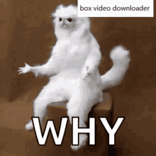 box video downloader why confused