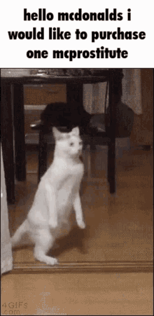 Cat Cat Meme GIF - Cat Cat Meme Discord Caption GIFs