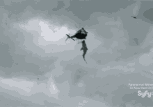Yum! Sharknado Chomps On A Girl As She Falls From A Helicopter. GIF - Sharknado Sharks Tornado GIFs