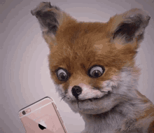fox blinking checks phone