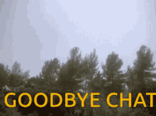Bear Goodbye GIF - Bear Goodbye Chat GIFs