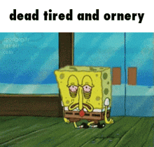 Dead Tired And Ornery Miracle Musical GIF