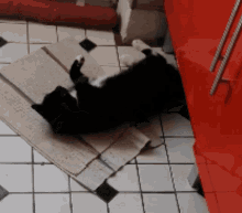 Rolling On The Floor Cats GIF - Rolling On The Floor Cats Kittens GIFs