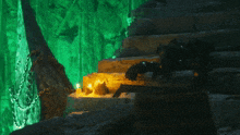 a person sitting on a set of stairs with a green light behind them