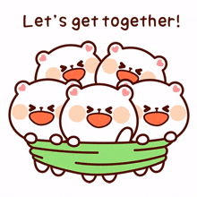 bear together