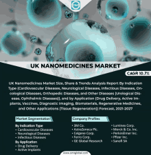 Uk Nanomedicines Market GIF - Uk Nanomedicines Market GIFs