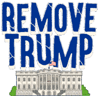 Remove Trump White House Sticker - Remove Trump White House Fire Trump Stickers