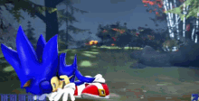Pelea Sonic GIF