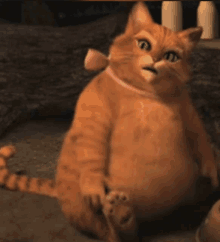 Shrek Cat GIFs