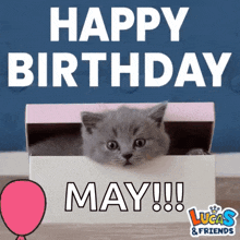 a kitten peeking out of a box with the words happy birthday may written on it