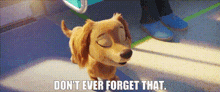 Paw Patrol Liberty GIF - Paw Patrol Liberty Dont Ever Forget That GIFs
