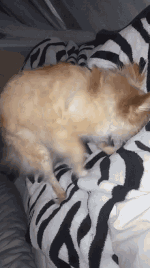 Goodnight Cant GIF - Goodnight Cant Sleep GIFs