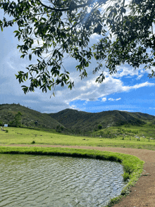 a pond in a field with mountains in the background and trees in the foreground