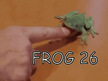 a person is touching a frog with their finger and the frog says frog 26 on the bottom