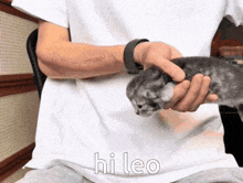 a person is holding a kitten in their hands and the kitten is saying hi leo