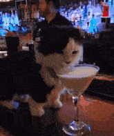 a black and white cat sits at a bar next to a martini glass