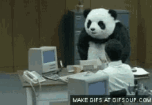 Panda Work GIF