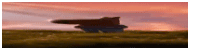 a silhouette of a plane flying over a grassy field at sunset .