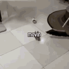 Kittens Moving GIF - Kittens Moving GIFs