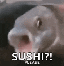 Sushi Lol GIF - Sushi Lol Fish GIFs