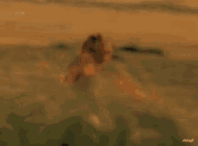 a gif of a woman walking on a beach with the url rbd.gif