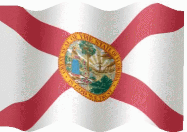 Florida Flag Waving GIF - Florida Flag Waving Windy GIFs