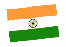flags india