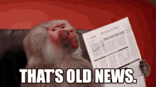 Thats Old News GIF - Monkey Read Old News GIFs