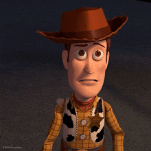 woody from toy story is wearing a cowboy hat and vest